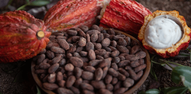 cacao peruano exportaciones